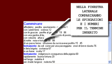 Nella finestra laterale compariranno le spiegazioni e i numeri associati per il termine inserito